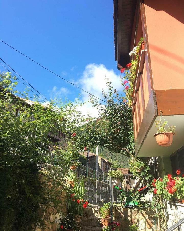 Apartamentos Rurales Los Nogales Косгайя Экстерьер фото
